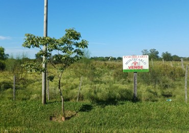 Con electricidad y cloacas