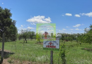 Zona Norte